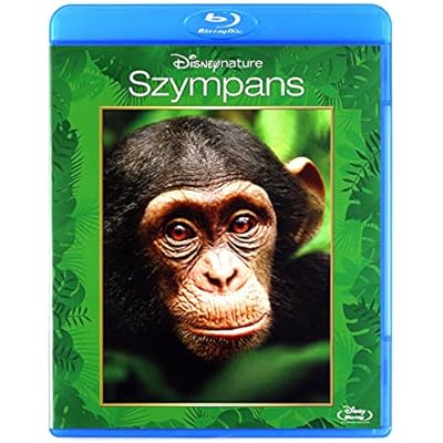 Chimpanzee