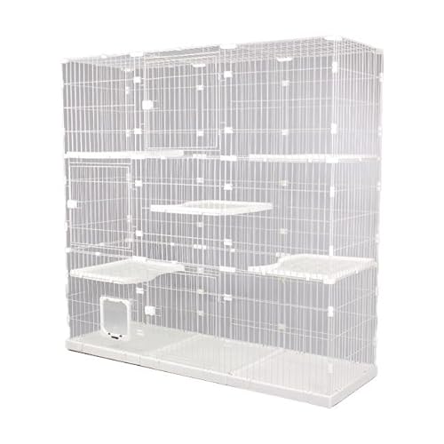 R LbgP[W ^ gݍ킹R 3i 186cm L݌v LX^[t Vv  LbgQ[W nEX LbgybgP[W ybgQ[W ی  ی L lR ˂ (zCg)