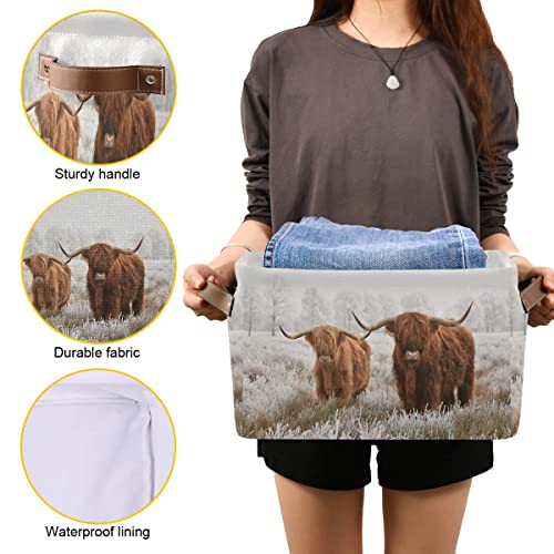 Scottish Highland Cow Storage Basket Fabric Storage Bin Baskets Bull Farmhouse Funny Animal Foldable Storage Boxes Bag For Baby Cloth Dog Toy Book Storage Cubes Shelf Closet Basket 16×12×8 Inches #TOP5