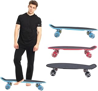 VANZACK Skates Completos 1 Peça De Skate Longboard Iluminado Para Adulto Placa De Peixe Ao Ar Livre Placa Fosca Piscando Peixe Pequeno Skate Adulto Skate Juventude Iniciante