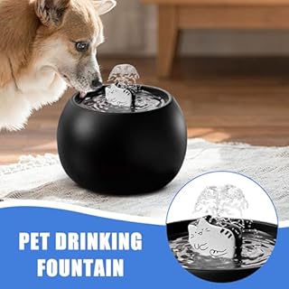 Fontana Acqua Per Gatti/Cani Ricaricabile USB-C, Filtro 5 Strati Con Sensore 3D, Serbatoio 1L, Ceramica Antigraffio - Idratante Automatico Per Interni/Esterni