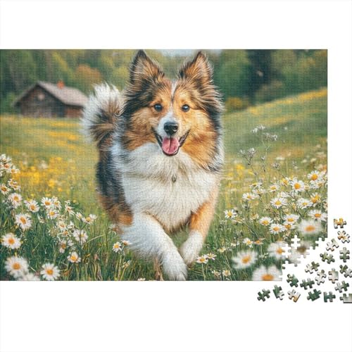 Rompecabezas de perro para adultos y niños: el regalo creativo ideal de 1000 piezas
