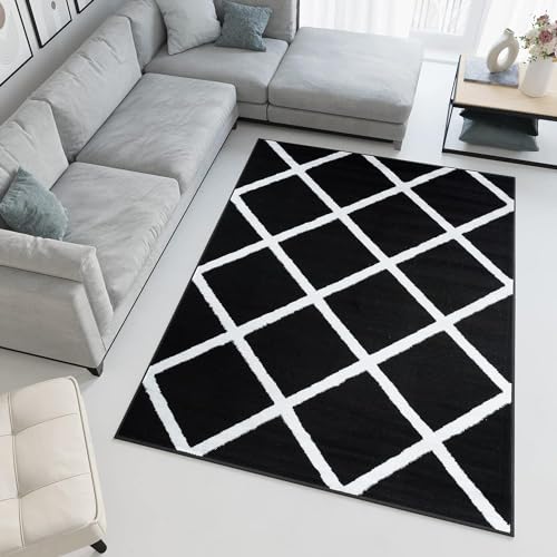 Image of AROMICK Modern Polyester Anti Slip Shaggy Fluffy Rug and Carpet for Living Room, Bedroom & Dining Room (4 x 6 Feet, Black Ivory Box)