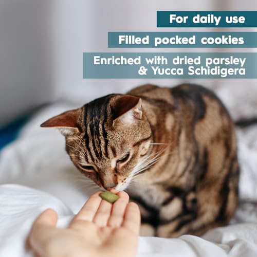 AmeizPet Katzen Leckerlies Frischer Atem Für Katze, Leckerli Zur Unterstützung Eines Frischen Atems, Kann Helfen Unangenehme Gerüche Zu Reduzieren, Reckerer Für Den Täglichen Genuss, 65 g (2.3 oz)