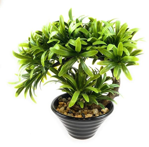 Savvy Bucket || Bonsai Artificial Plant with Brown Pot (Green Colour)