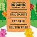 Black Forest USDA Organic Gummy Bears - 65 Pouches - .0.8Oz Each