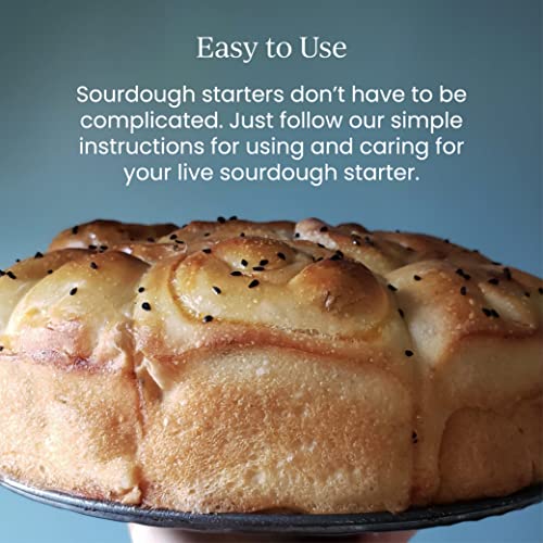 Breadtopia Sourdough Starter Live | Non-Gmo, Heirloom, & Organic | Our Sour Dough Starter Is Active & Ready To Go | Sourdough Starters For Home Made Bread Sourdough | Easy To Use Bread Starter Culture #TOP3