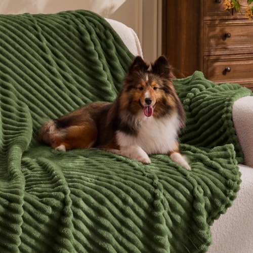 Image of BEDELITE Fleece Throw Blanket for Couch - 3D Ribbed Jacquard Soft and Warm Decorative Fuzzy Blanket - Cozy, Fluffy, Plush Lightweight Moss Throw Blankets for Bed, Sofa, 50x60 inches