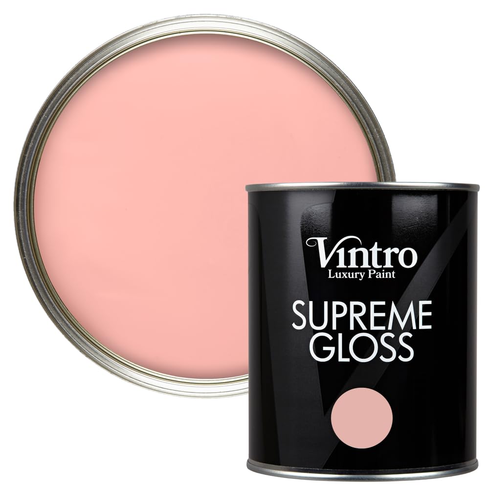 Vintro Paint Walls And Ceilings Dancing Salmon Gloss Paint 1L
