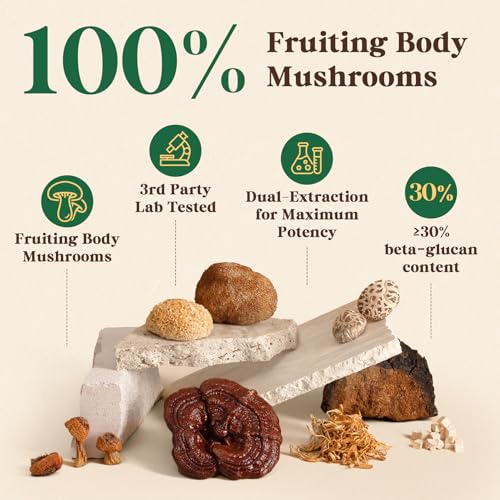 Fidus 16 Mushroom Supplement Powder