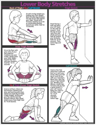 Fitnus Chart Series Lower Body 17" X 22" Laminated Poster