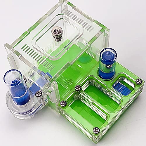 Dural Wasserhandtuch Ameisenwerkstatt Acrylnest Ameisen Bauernhof Haus Aktivitätsbereich Tasche Mini Neues Ameisennest (Green)