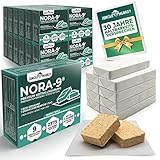 NEU - Notfallnahrung lange haltbar XXL - 30 Jahre Haltbarkeit Spezialverpackung | Notvorrat Lebensmittel Vergleichssieger | Kalorienreiche Notration | Langzeitnahrung | Notnahrung Butterkeks-Geschmack