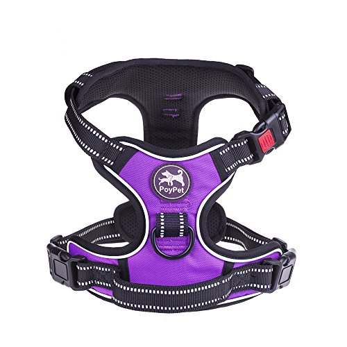 Best AntiPull Dog Harness Dog Training Me