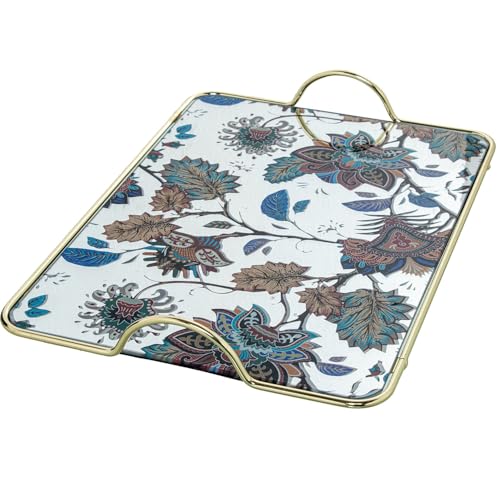 Plateau rectangulaire avec poignées en verre métal DRW plat de service feuilles