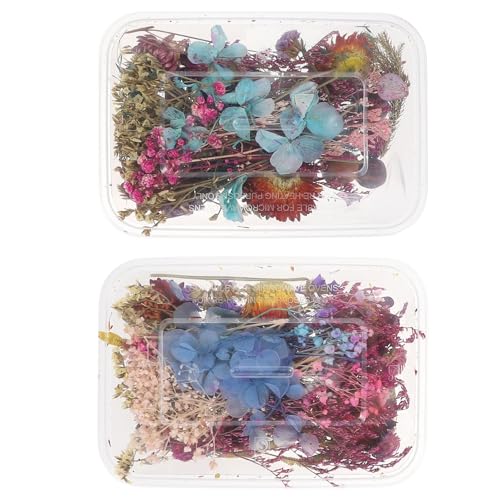 2 cajas de flores secas surtidas para manualidades DIY miniatura 1