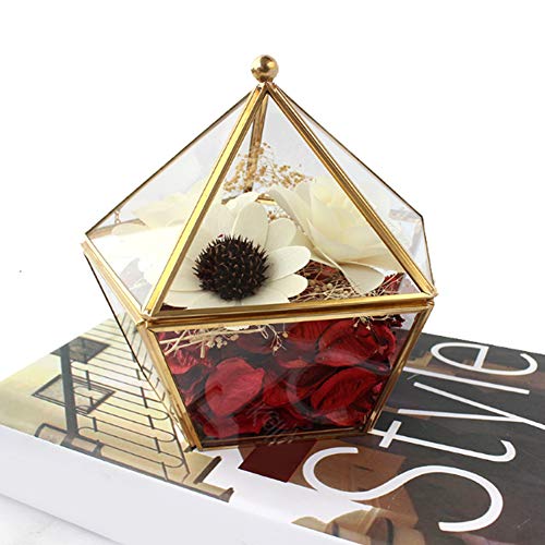 Mini Glass Geometric Terrarium, 6.3inch Air Plant Holder Window Sill Decor Shelf - Image 4