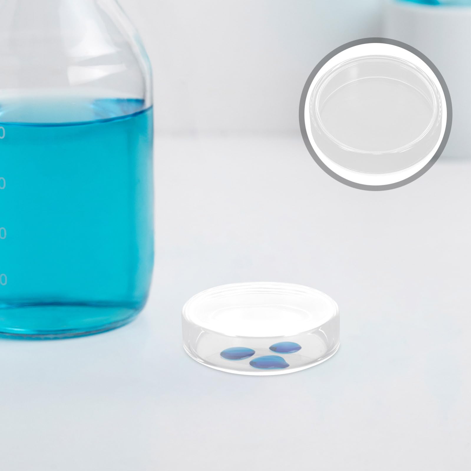 GALPADA Piastre Petri in Vetro Trasparente con Coperchi da 90mm 10 Pezzi Resistenti a Temperature Alte e Basse, per Esperimenti di Laboratorio e Studi Micologici