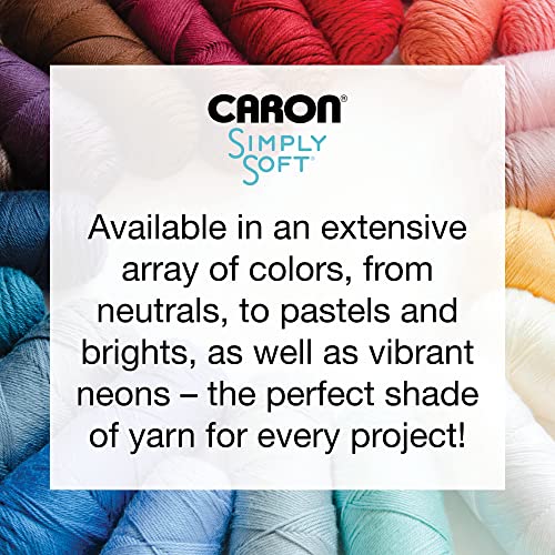 Caron H970039719P03 Simply Soft Soft Pink Yarn - 3 Pack Of 170G/6Oz - Acrylic - 4 Medium  thumb #9