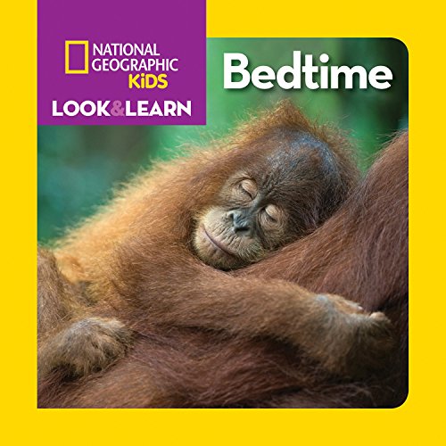 Image of Look & Learn: Bedtime