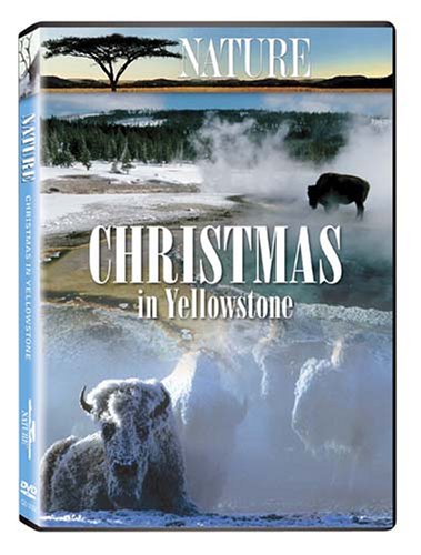 Nature: Christmas in Yellowstone