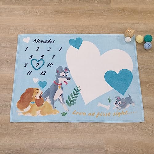 Image of NoJo Disney Lady & The Tramp Blue, White, and Gold Love at First Sight Super Soft Photo Op Milestone Baby Blanket