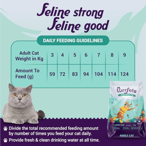 Image of Purrfeto Adult Dry Cat Food | Chicken & Oceanfish | 3 kg Ingredients | 40% Reduction in Urinary Track Diseases |Anti Hairball Formula |Healthy Skin & Coat |Improves Digestive Health
