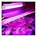 Produktbild Energie sparen LED-Anlage Licht - Wachsen Pflanze Aufhellen Lampe, Regenzeit, Winter, Nacht, Indoor Startseite Saftiges Obst Zitrone Gemüse Blume (Size : 50w)