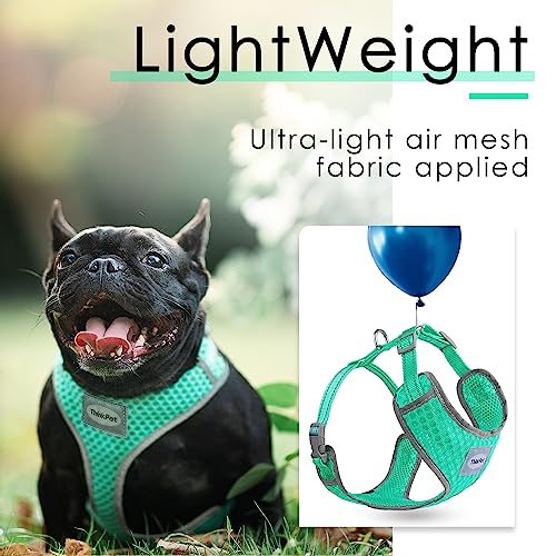 ThinkPet No-Pull Hundegeschirr Leine Set, Atmungsaktiv Brustgeschirr für Kleine Mittlere Große Hunde, Einstellbar Weich Laufgeschirre Sicher Kontrolle Gepolstert Reflektierendes Sicherheitsgeschirr