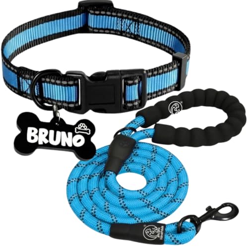 Image of PawPro Reflective Nylon Dog Collar - Custom Bone Tag with 5‑Foot Heavy‑Duty Leash - Soft Padded Handle, 360 Swivel Clip - Adjustable Pet Collar for Medium & Large Dogs (Frosted Blue, Collar+Leash)