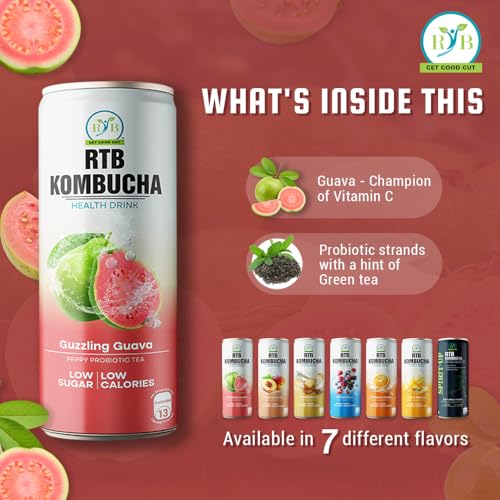 Image of RTB KOMBUCHA Health Guava Drink - Pack of 250ml | Helps in Immune System & Digestive System (Kombucha Culture, Fruit Pulp & Organic Sugar)