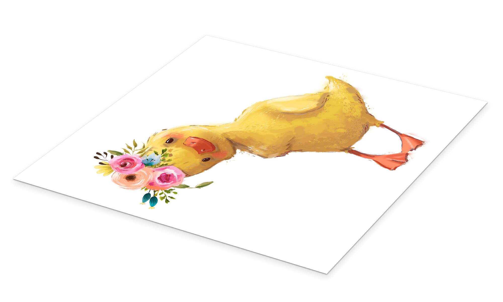 Spring duckling Plakat | 100 x 100 cm Eve Farb Obrazy Dekoracja ścienna