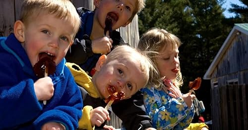 Miniatura 5 de CANADA TRUE Piruleta de arce puro de jarabe de 0.71 ozpieza (54 piezas, caja original)