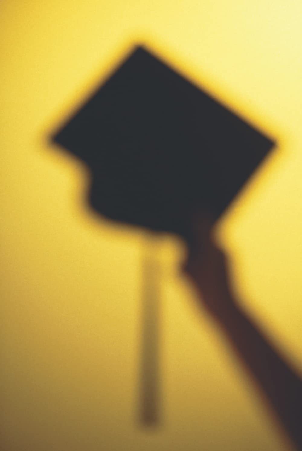 Mixed Sorority Incorporated