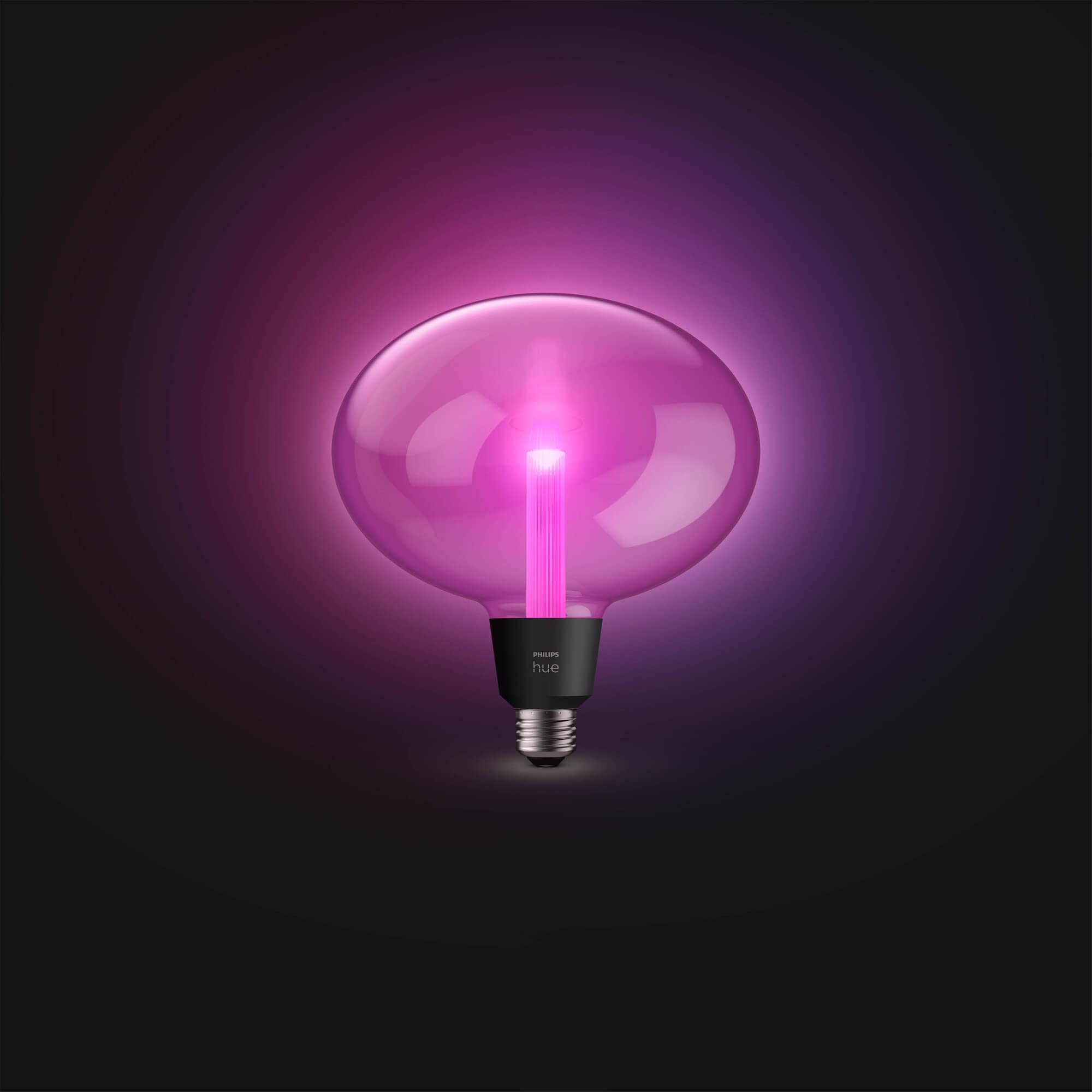 Philips Hue White & Color Ambiance Lightguide Ellipse 500lm, dimmbare LED Lampen für das Hue Lichtsystem mit 16 Mio. Farben, smarte Lichtsteuerung über Sprache und App