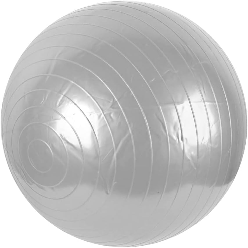 Ladies Home Gymnasium Inflatable Yoga Ball 50cm Silver Gray w Pump (id: 020 3b6 9b5 a0b b83