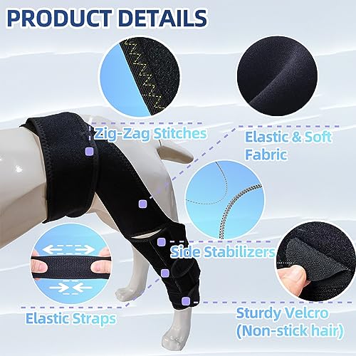 Image of M Dog Knee Brace for Torn ACL, Luxating Patella & Arthritis - Adjustable Support for Hind Leg, Cruciate Ligament, and Injury Recovery