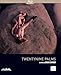 Produktbild Twentynine palms [Blu-ray] [FR Import]