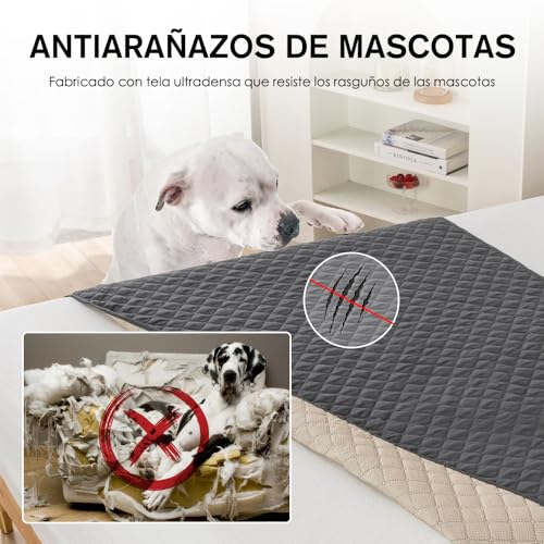 Camas para Perro, Video On Demand Imagen adicional