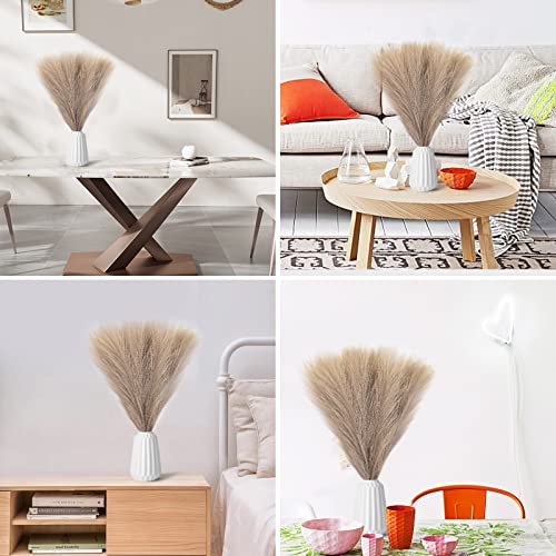 Colexy Erba di Pampa Artificiale, 5 Pz Fiore di