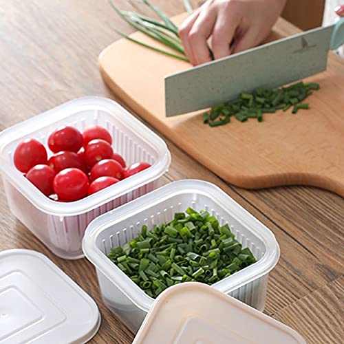 Contenitore in plastica per la conservazione degli Alimenti freschi per la Famiglia, con Coperchio e Scomparto di Scarico, Design di Controllo dell'Acqua Che Mantiene