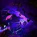 EverBrite Black Light, UV Blacklight Flashlights 2-Pack, 12 LEDs 395nm, 3 Free AAA Batteries, for Pets Urine and Stains Detector 6 Batteries Included Purple