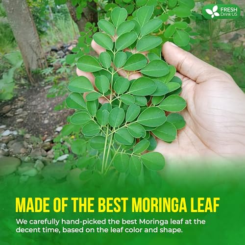 Image of FreshDrinkUS, Premium 20 oz Moringa Powder, 100% Natural & Pure, Herbal Tea, Daily Infusion Botanical, No Sugar, No Caffeine, No Gluten, Vegan. Rich in Antioxidants