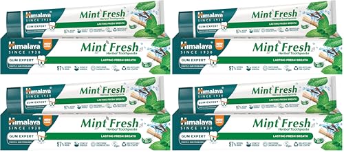 Dentifrice à la menthe fraîcheur Himalaya pour sourire en confiance au bureau