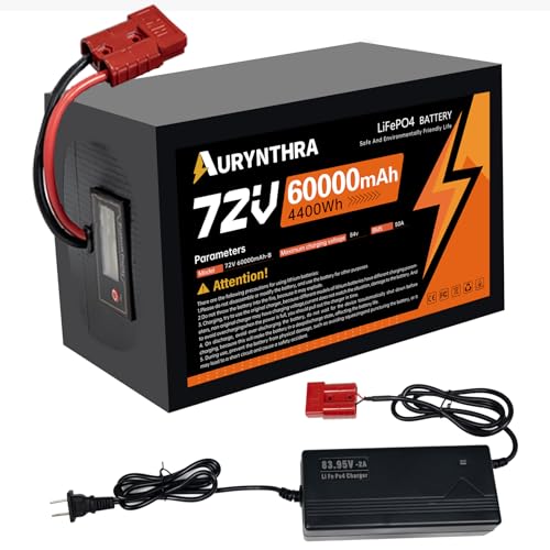 AURYNTHRA 72V 60Ah LiFePO4 Ebike Battery