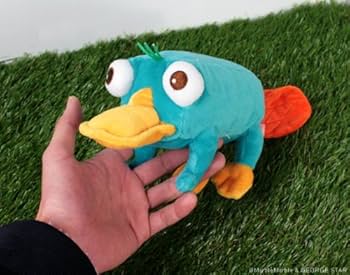 51SR5kON1GL._AC_UF350,