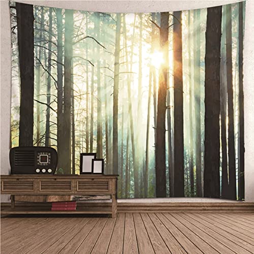 Forêt et coucher de soleil tenture de chambre tissu mural asiatique Isdreem