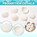 lnnkege 25 pcs Natural Scallop Shells White Sea Shells Natural White Scallops from Sea Beach for DIY Craft Home and Party Decor (Size May Vary from 1.2-2 Inches)