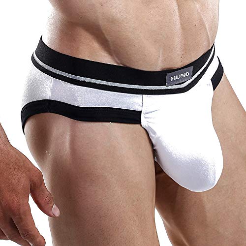 Hung HGJ003 Brief