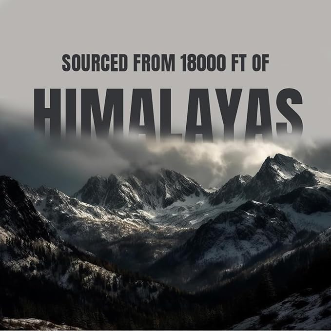 Miniatura 9 de Palitos Shilajit puros del Himalaya con miel orgánica y azafrán (7 unidades)  Palitos Shilajit fáciles de un solo uso  Aumenta la energía y la